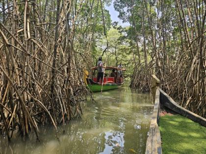 കടലുണ്ടി കണ്ടൽക്കാടിന്റെ ഭംഗി ആസ്വദിച്ചു മറക്കാനാവാത്ത ഒരു അനുഭവം നേടൂ...
