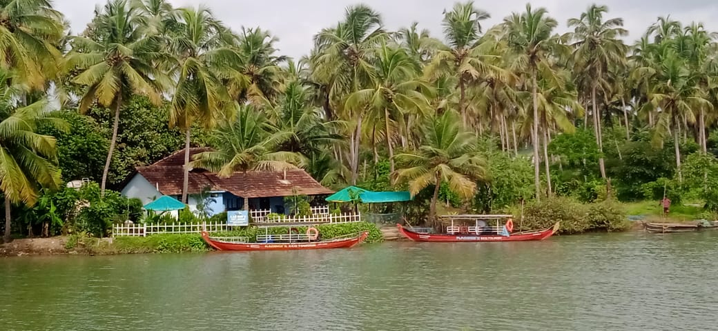 Our Home Stay  Preview Video