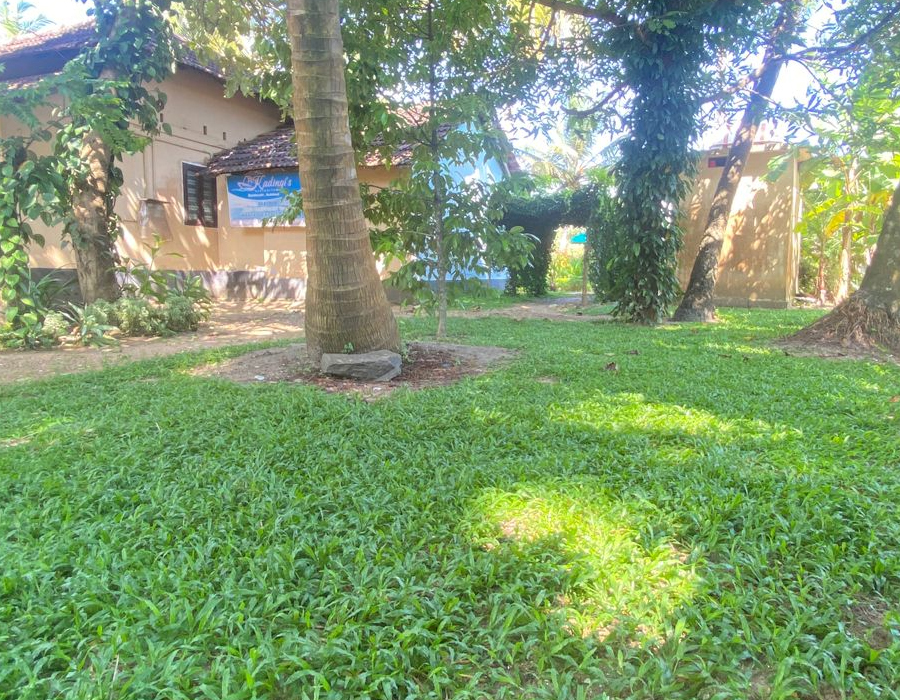 Stay in this  Island  with 100% privacy.